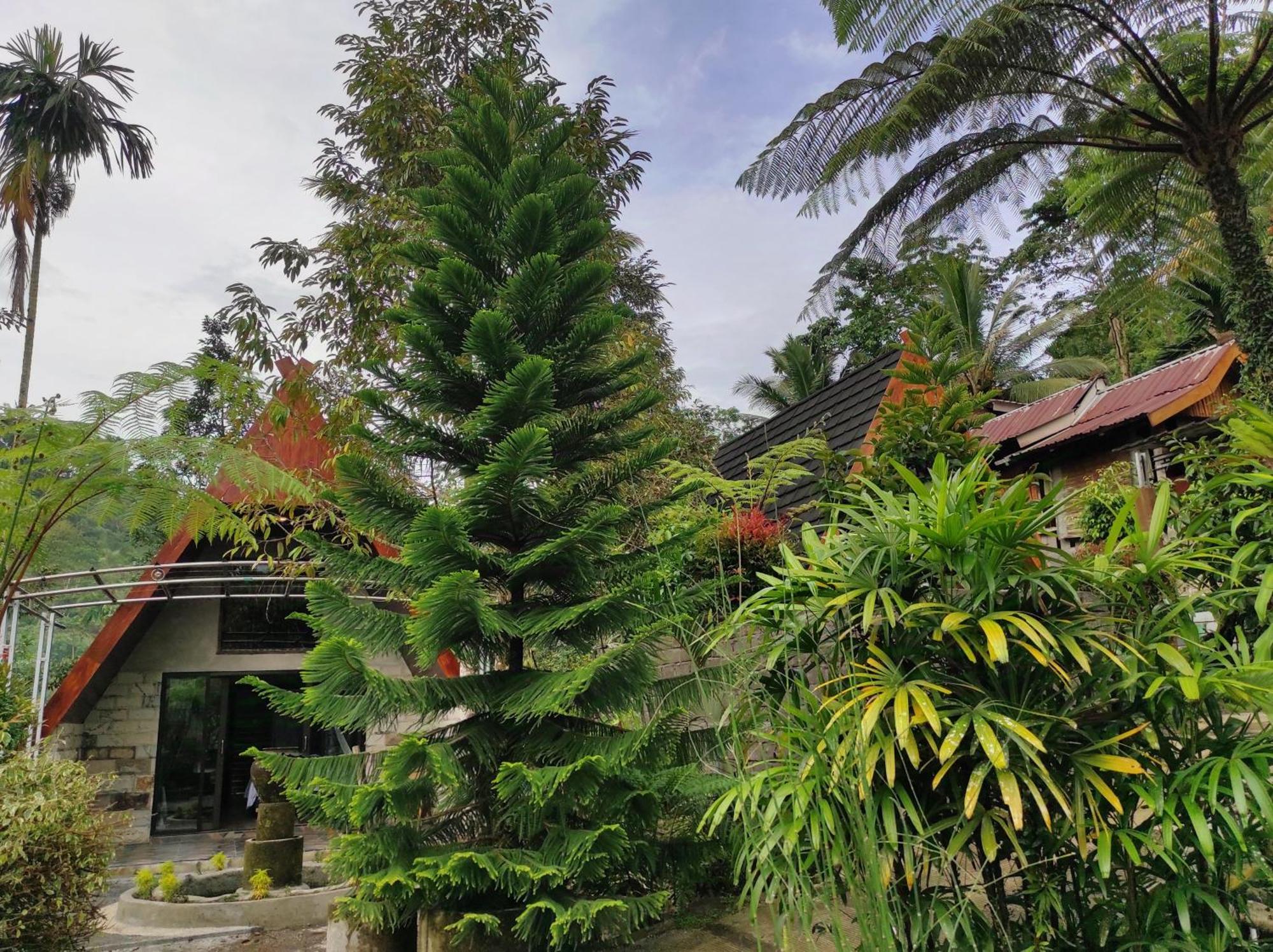 Goa Walet Cottage Praya Exterior foto